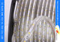 Outdoor Ornament Flexible LED Strip Light Waterproof High Voltage 220V 4.4W